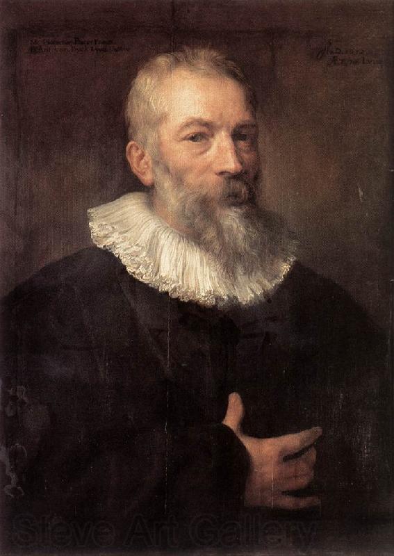 DYCK, Sir Anthony Van Portrait of the Artist Marten Pepijn dfg Spain oil painting art